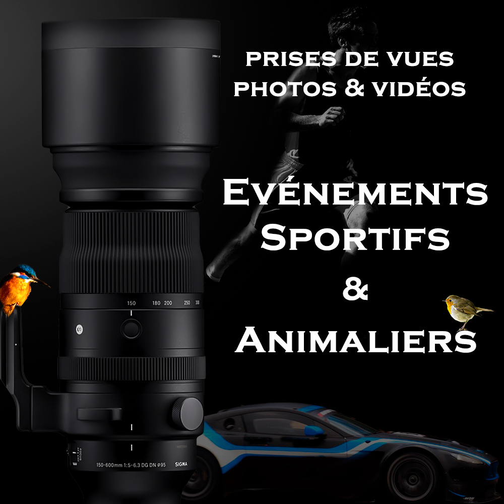 Sport animaux Drôme Ardèche Prise de vue photo et vidéo pour événements sportif et animalier